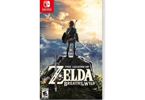 Nintendo Switch Game