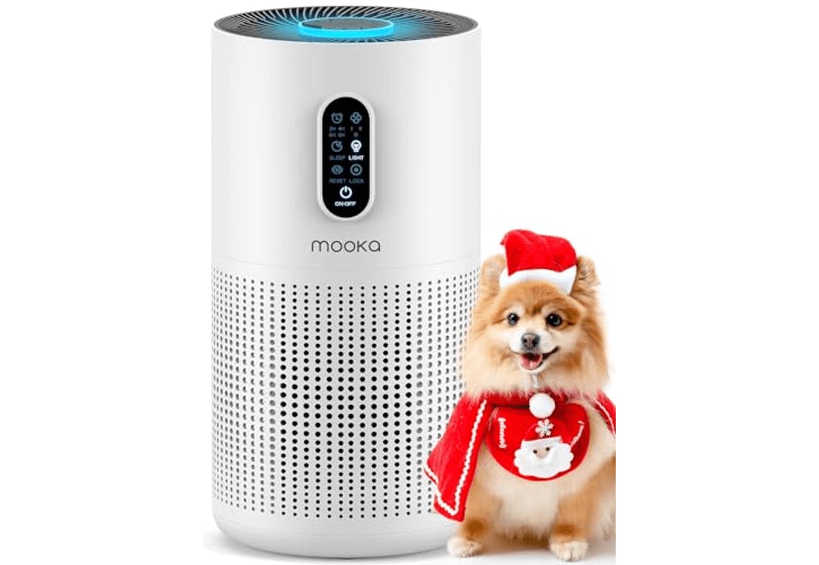 Mooka Large Room Air Purifier