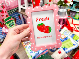 dollar general strawberry framed art