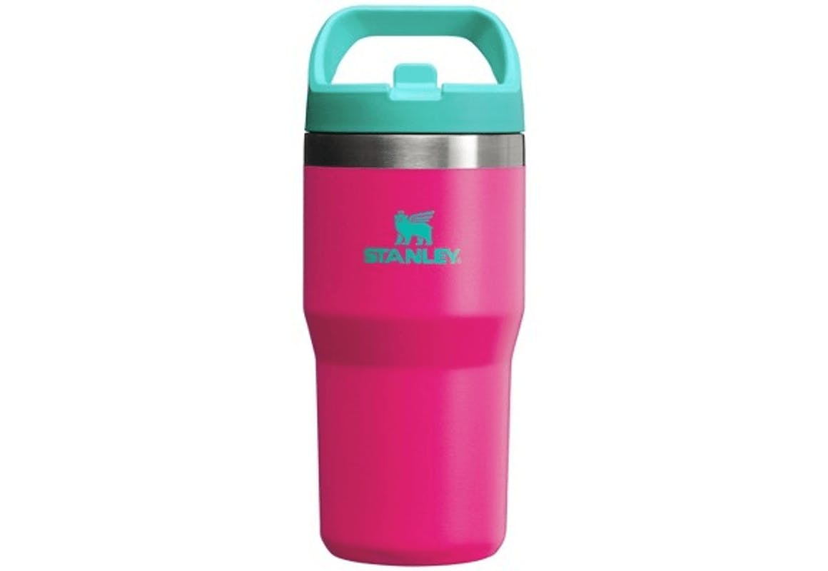 Stanley Kids' Straw Tumbler
