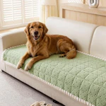 Couch Cover