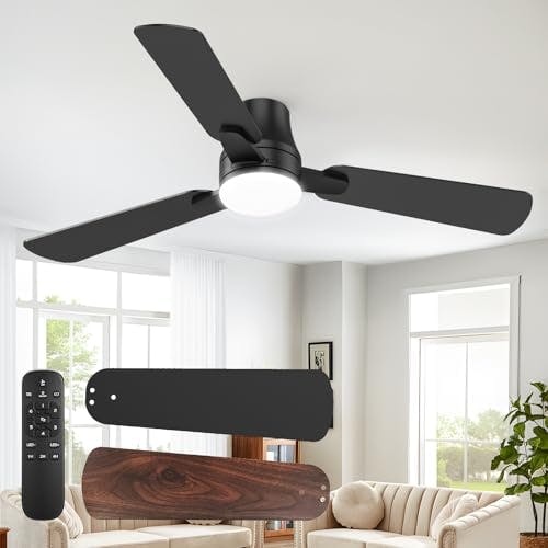 Ceiling Fan with Lights
