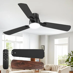 Ceiling Fan with Lights