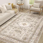 Area Rug