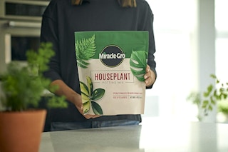 miracle gro houseplant potting mix