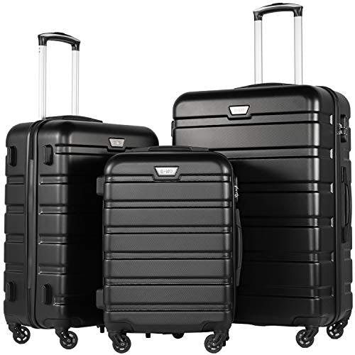 Luggage Set