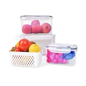 Produce Saver Containers