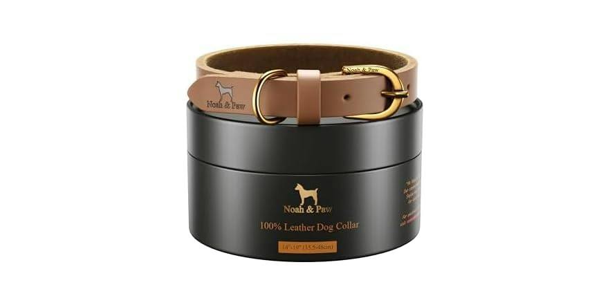 Noah & Paw Dog Collar