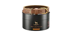 Noah & Paw Dog Collar
