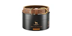 Noah & Paw Dog Collar