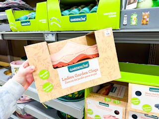 aldi-garden-6