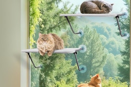 amazon B0DS22DF7G cat window perch