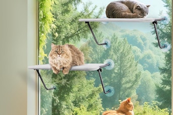 amazon B0DS22DF7G cat window perch