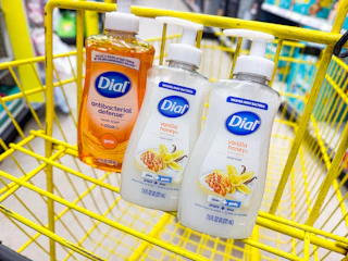 dollar general dial hand soaps 1