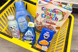 dollar general groceries in shopping basket