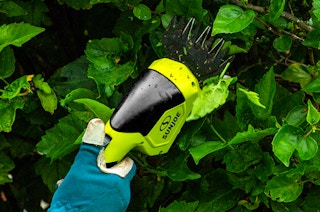 a hedge trimmer trimming hedges 