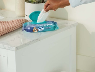 amazon charmin flushable wipes 2023 2 1684238015 1684238015