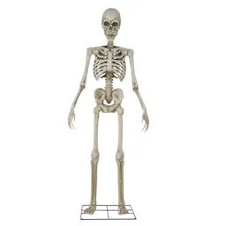 Way To Celebrate 8-Foot Animated Skeleton