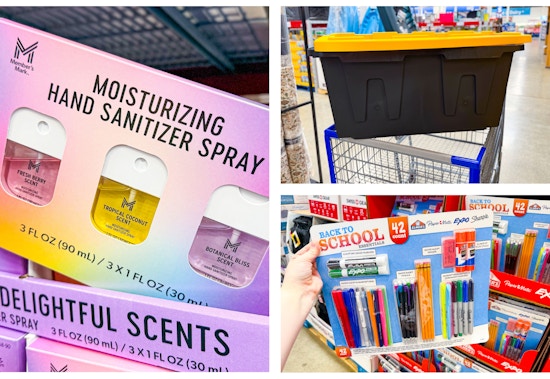 sams-club-instant-savings-hand-sanitizer-school-supplies-kit-storage-tote