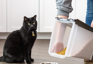 amazon-iris-food-container-2024-2