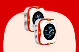 Gas & Carbon Monoxide Detector 2-Pack