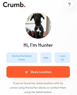 crumb smart pet tag 1