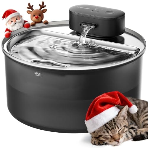 Cat Water Fountain