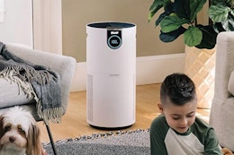 The Shark HEPA air purifier running in a living room.