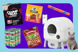 Amazon's Top Pet Deals — Shop Now & Save Up to 62% on Top Brands card image