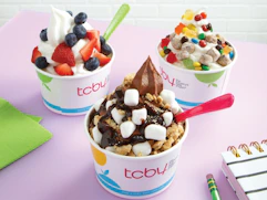tcby-frozen-yogurt-cups-official-media-facebook