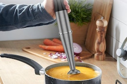 Immersion Blender