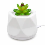 Private Label Succulent Diffuser