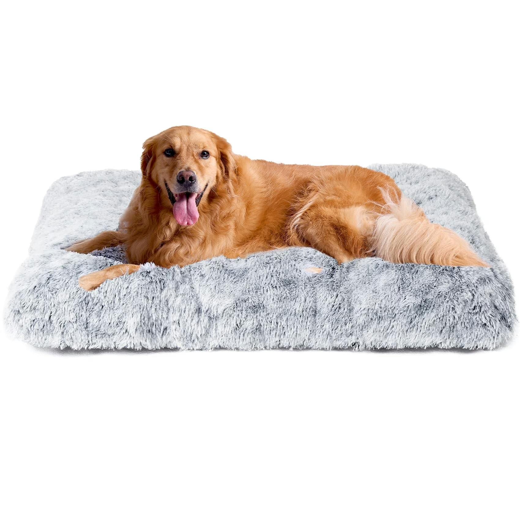 Large Dog Bed