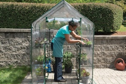 Miracle-Gro Greenhouse, Only $47 on Amazon (Reg. $88.01) card image