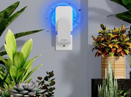 Indoor Flying Insect Trap With 5 Refills, Just $7.79 on Amazon card image
