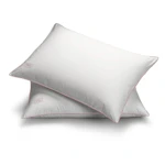 White Goose Down Pillow Set