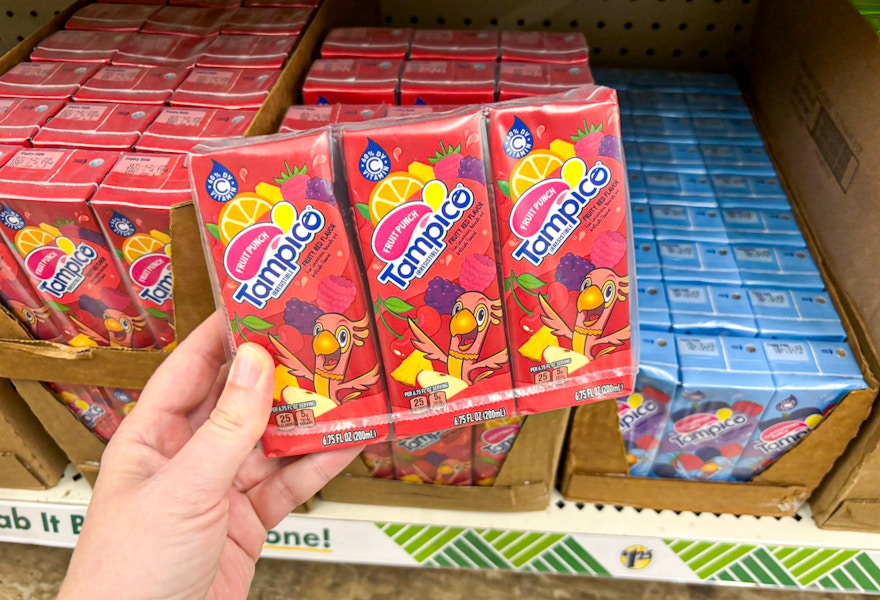dollar tree tampico punch juice boxes