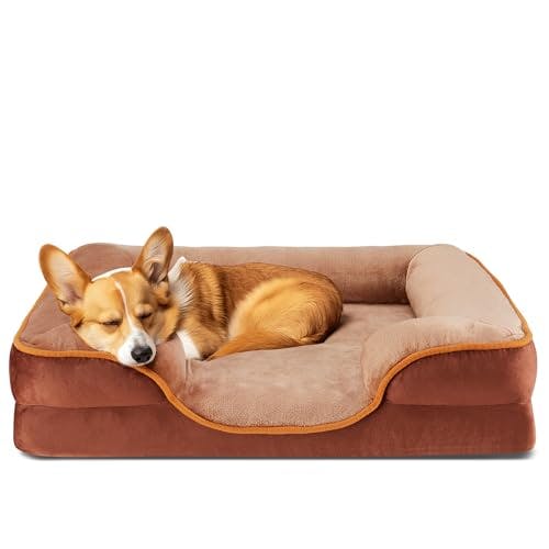 Orthopedic Dog Bed