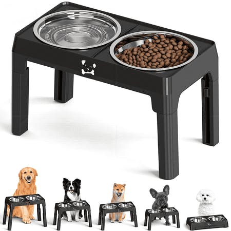 Elevated Dog Bowls