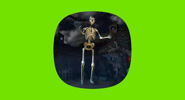 Where To Buy a Giant Skeleton the Cheapest (And How To Spot a Good Deal) card image