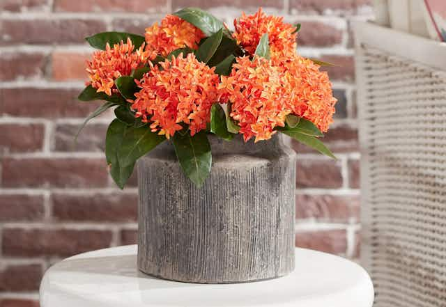 Get the Viral Better Homes & Garden Planter on Clearance for $3 at Walmart card image