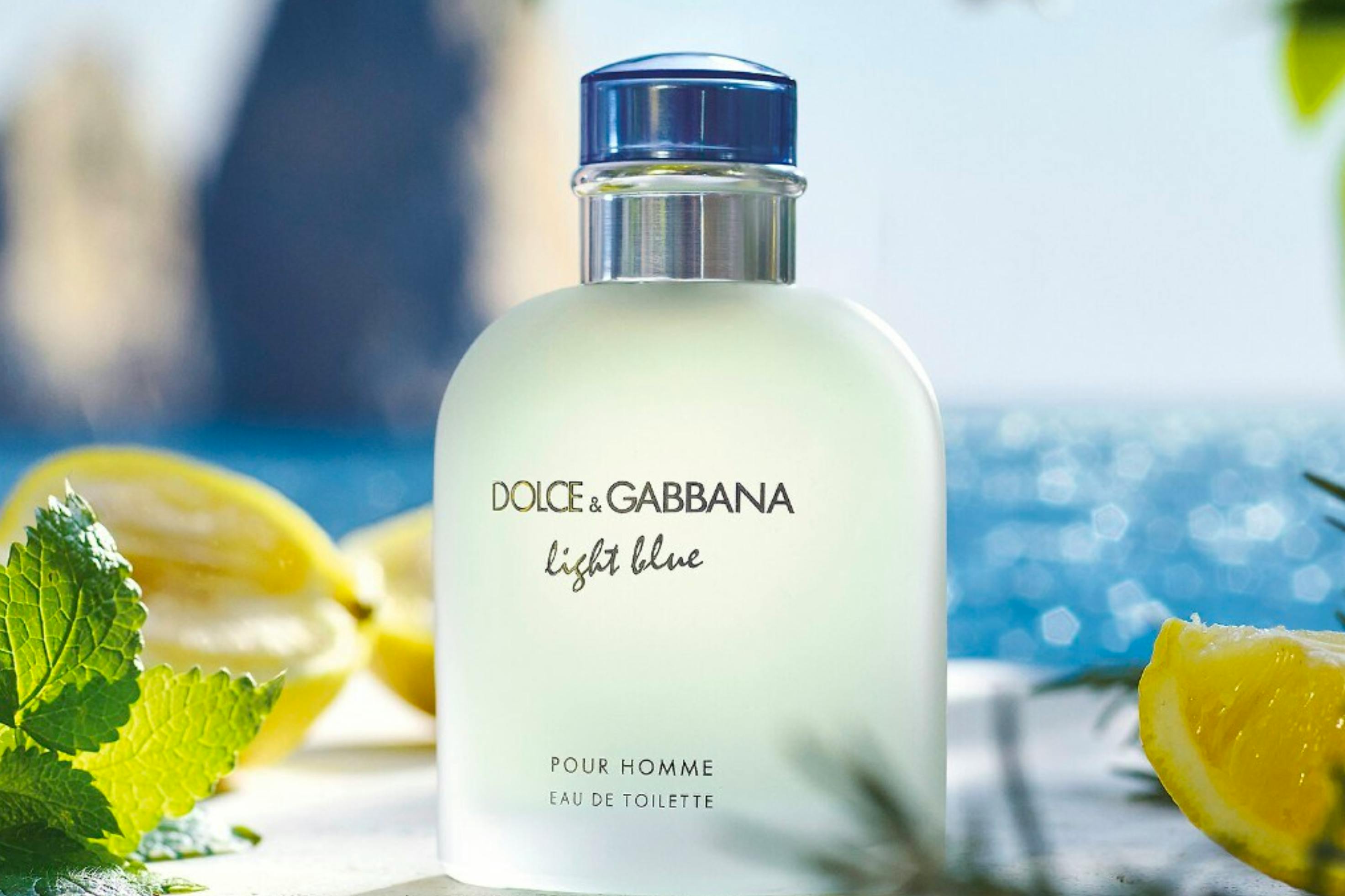 Dolce & Gabbana Light Blue Women's Eau de Toilette 3.4oz : Bath & Beauty  fast delivery by App or Online