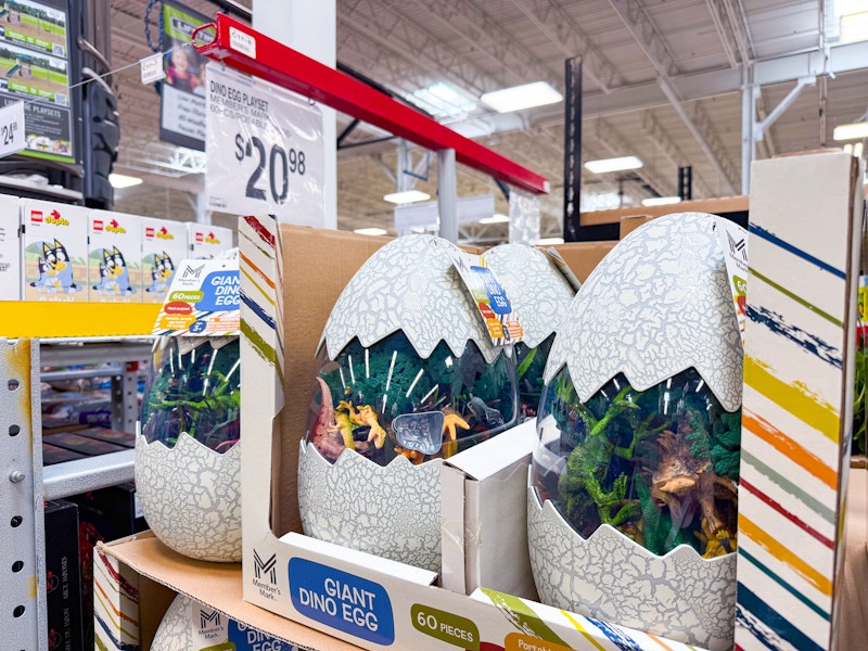 sams-club-toys-dino-egg-2