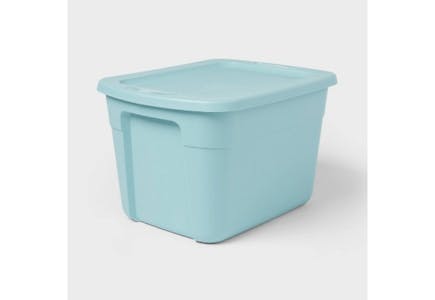 Brightroom Storage Tote
