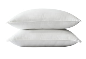 Linens & Hutch Pillow Set