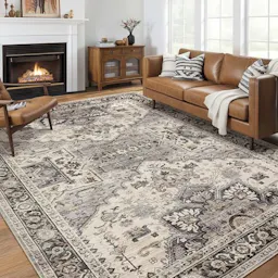Area Rug