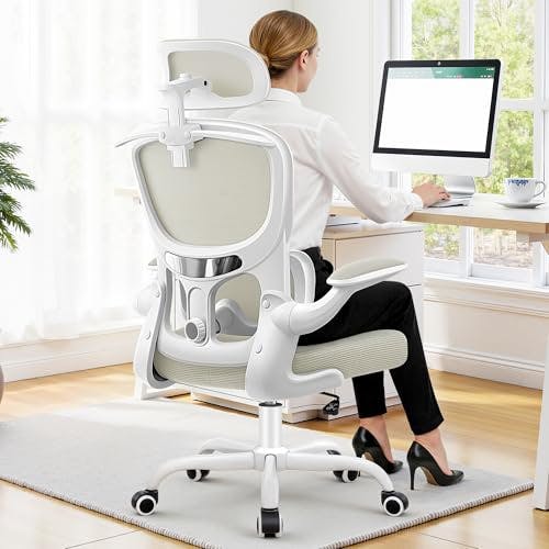Ergonomic Office Chair