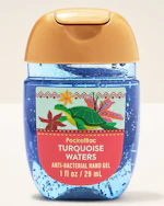 Bath & Body Works Hand Sanitizer
