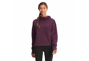 The North Face Hoodie