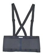 Kobalt Back Brace